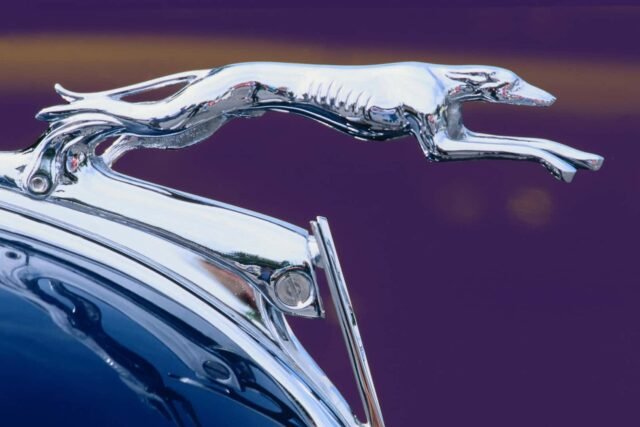Gde su nestali ukrasni elementi na haubi automobila?